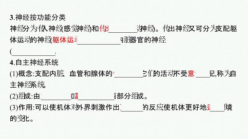 2021-2022学年高中生物新人教版选择性必修1 神经调节的结构基础 课件（33张）08