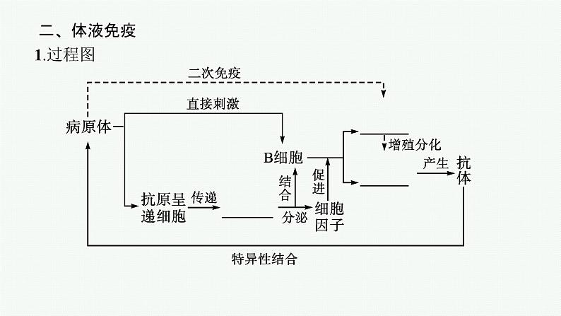 2021-2022学年高中生物新人教版选择性必修1 特异性免疫（36张）  课件第6页