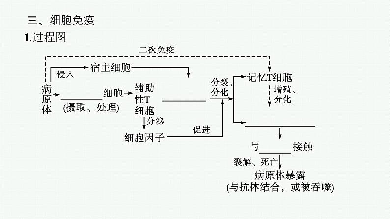 2021-2022学年高中生物新人教版选择性必修1 特异性免疫（36张）  课件第8页