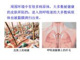 2021-2022学年高中生物新人教版选择性必修1  第4章 第2节 特异性免疫 课件（54张）