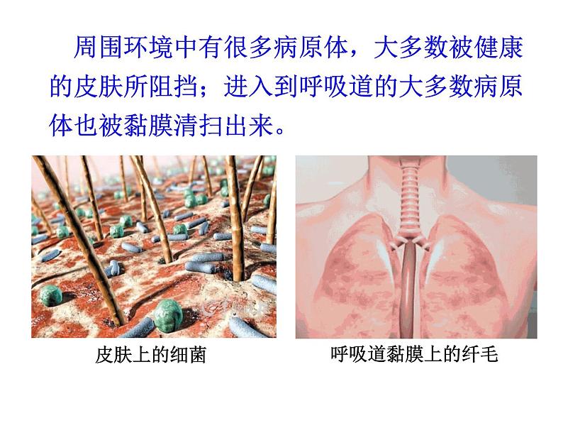 2021-2022学年高中生物新人教版选择性必修1  第4章 第2节 特异性免疫 课件（54张）第4页