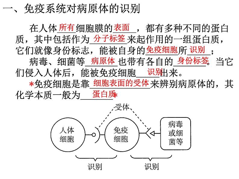 2021-2022学年高中生物新人教版选择性必修1  第4章 第2节 特异性免疫 课件（54张）第8页