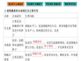 2021-2022学年高中生物新人教版选择性必修1  第5章 第2节 其他植物激素 课件（88张）