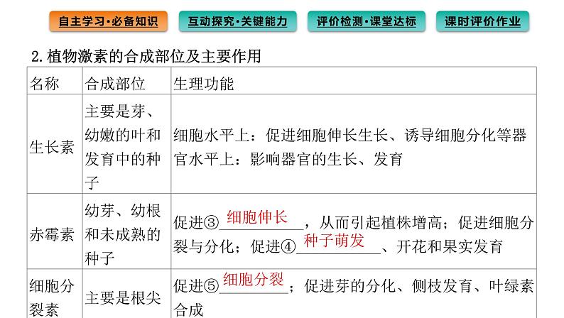 2021-2022学年高中生物新人教版选择性必修1  第5章 第2节 其他植物激素 课件（88张）04