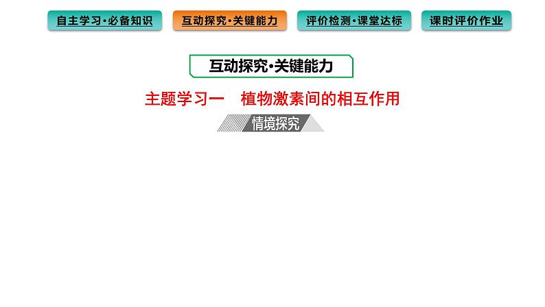 2021-2022学年高中生物新人教版选择性必修1  第5章 第2节 其他植物激素 课件（88张）08