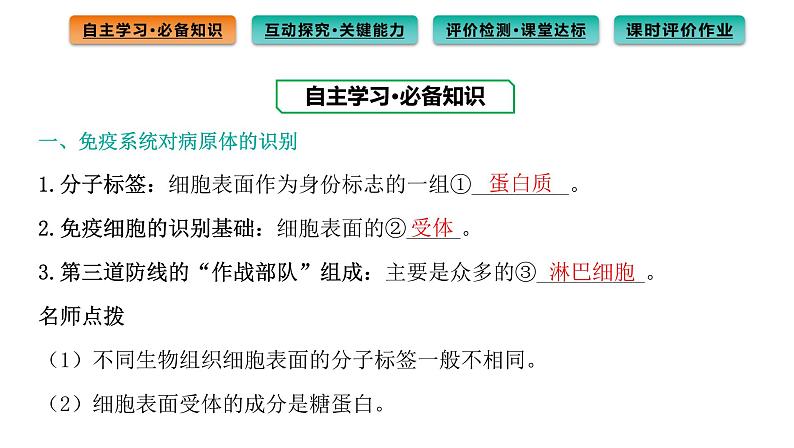 2021-2022学年高中生物新人教版选择性必修1  第4章 第2节 特异性免疫 课件（95张）第3页