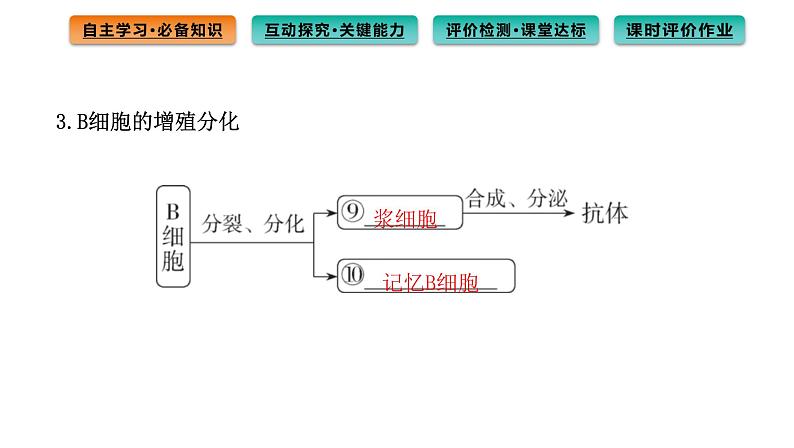 2021-2022学年高中生物新人教版选择性必修1  第4章 第2节 特异性免疫 课件（95张）第5页