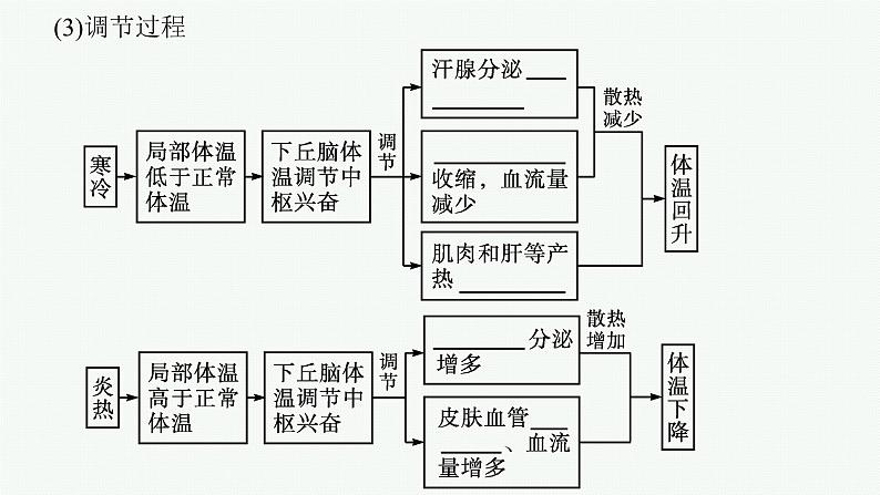 2021-2022学年高中生物新人教版选择性必修1 　体液调节与神经调节的关系（34张）  课件08