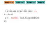 2021-2022学年高中生物新人教版选择性必修1  第4章 第4节 免疫学的应用 课件（70张）