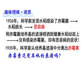 2021-2022学年高中生物新人教版选择性必修1  第5章 第2节 其他植物激素 课件（29张）