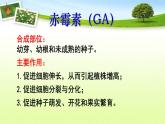 2021-2022学年高中生物新人教版选择性必修1  第5章 第2节 其他植物激素 课件（29张）