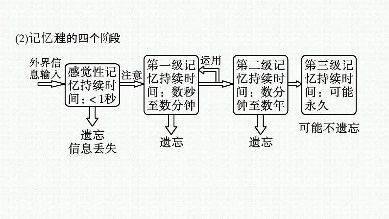 2021-2022学年高中生物新人教版选择性必修1 人脑的高级功能 课件（36张）08