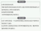 2021-2022学年高中生物新人教版选择性必修1 神经调节的结构基础（28张）  课件