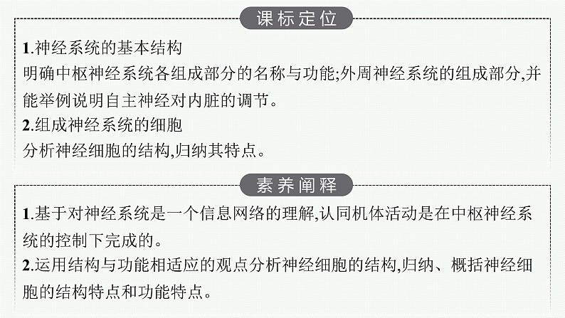 2021-2022学年高中生物新人教版选择性必修1 神经调节的结构基础（28张）  课件第3页