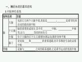 2021-2022学年高中生物新人教版选择性必修1 神经调节的结构基础（28张）  课件