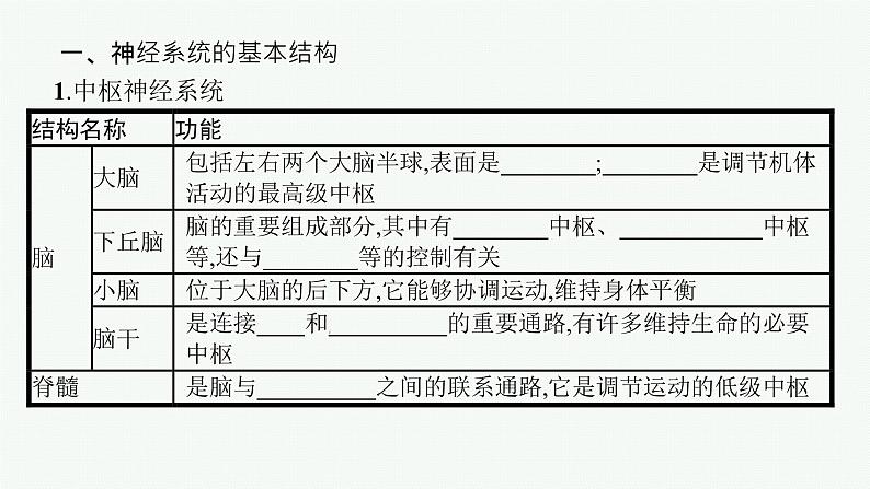 2021-2022学年高中生物新人教版选择性必修1 神经调节的结构基础（28张）  课件第5页