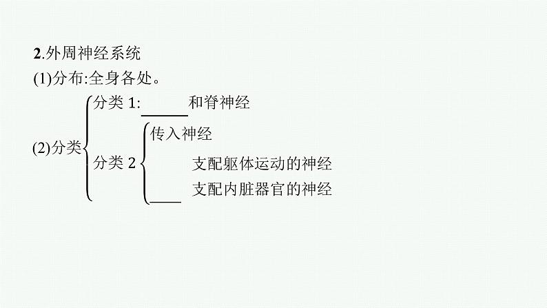 2021-2022学年高中生物新人教版选择性必修1 神经调节的结构基础（28张）  课件第6页