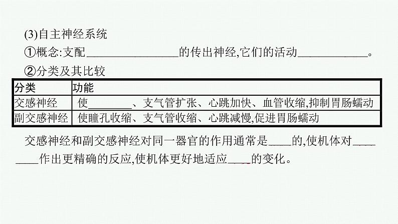 2021-2022学年高中生物新人教版选择性必修1 神经调节的结构基础（28张）  课件第7页