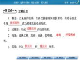 2021-2022学年高中生物新人教版选择性必修1  第4章 第3节 免疫失调 课件（68张）