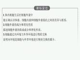 2021-2022学年高中生物新人教版选择性必修1 细胞生活的环境（45张）  课件