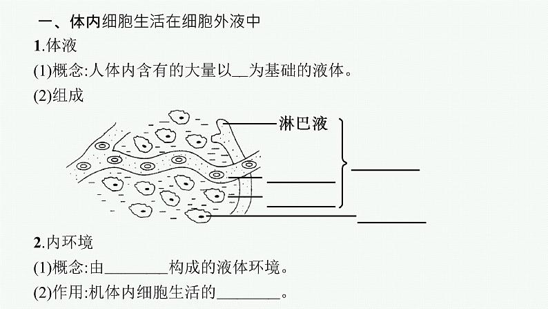 2021-2022学年高中生物新人教版选择性必修1 细胞生活的环境（45张）  课件06