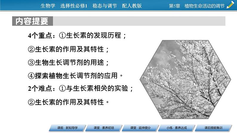 2021-2022学年高中生物新人教版选择性必修1  第5章 第1节 植物生长素 课件（99张）第3页