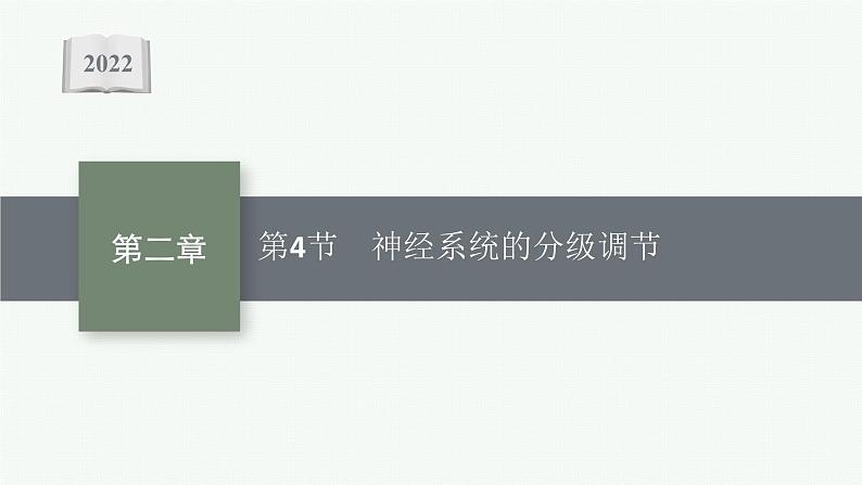 2021-2022学年高中生物新人教版选择性必修1 神经系统的分级调节（25张）  课件第1页