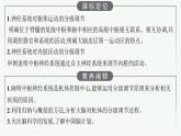 2021-2022学年高中生物新人教版选择性必修1 神经系统的分级调节（25张）  课件