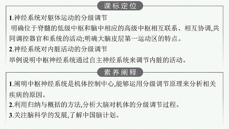 2021-2022学年高中生物新人教版选择性必修1 神经系统的分级调节（25张）  课件第3页