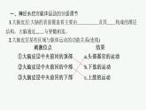 2021-2022学年高中生物新人教版选择性必修1 神经系统的分级调节（25张）  课件