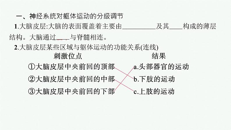 2021-2022学年高中生物新人教版选择性必修1 神经系统的分级调节（25张）  课件第5页