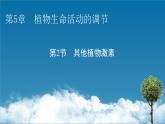 2021-2022学年高中生物新人教版选择性必修1  第5章 第2节 其他植物激素 课件（61张）