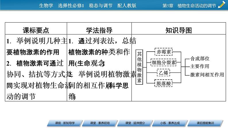 2021-2022学年高中生物新人教版选择性必修1  第5章 第2节 其他植物激素 课件（61张）02