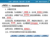 2021-2022学年高中生物新人教版选择性必修1  第5章 第2节 其他植物激素 课件（61张）