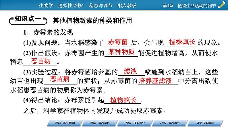 2021-2022学年高中生物新人教版选择性必修1  第5章 第2节 其他植物激素 课件（61张）04