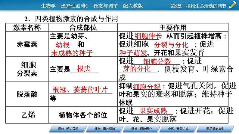 2021-2022学年高中生物新人教版选择性必修1  第5章 第2节 其他植物激素 课件（61张）05