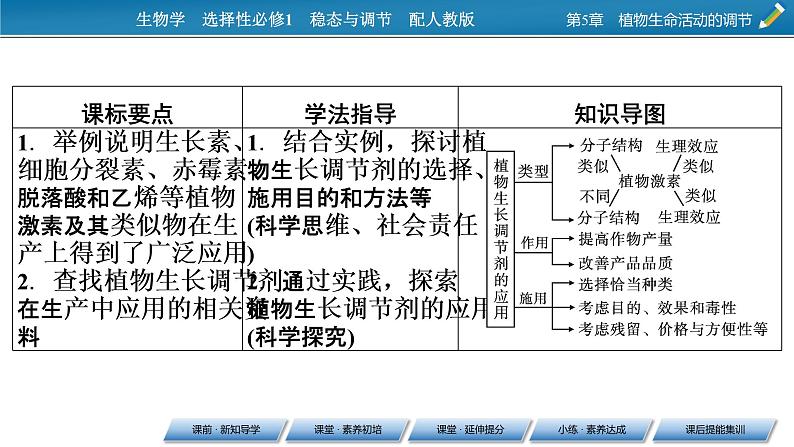 2021-2022学年高中生物新人教版选择性必修1  第5章 第3节 植物生长调节剂的应用 课件（62张）02