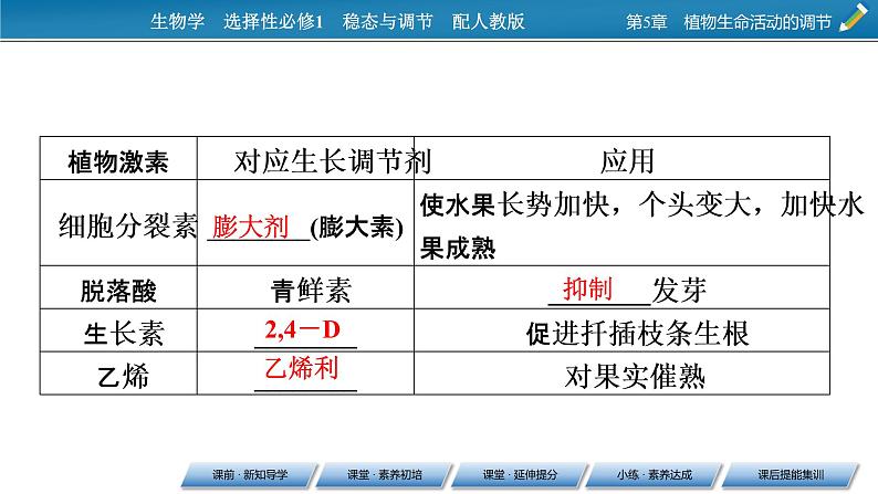 2021-2022学年高中生物新人教版选择性必修1  第5章 第3节 植物生长调节剂的应用 课件（62张）06