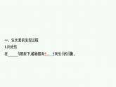2021-2022学年高中生物新人教版选择性必修1 植物生长素 课件（61张）