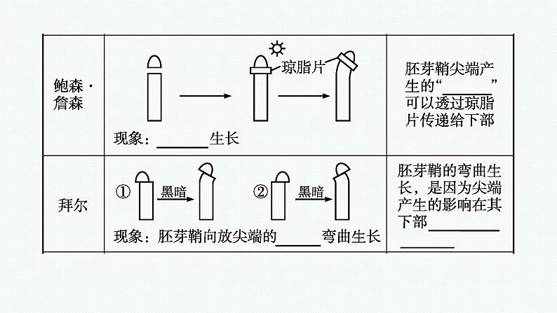 2021-2022学年高中生物新人教版选择性必修1 植物生长素 课件（61张）第7页