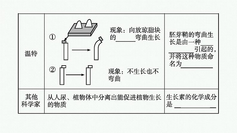 2021-2022学年高中生物新人教版选择性必修1 植物生长素 课件（61张）第8页