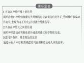 2021-2022学年高中生物新人教版选择性必修1 神经冲动的产生和传导（43张）  课件