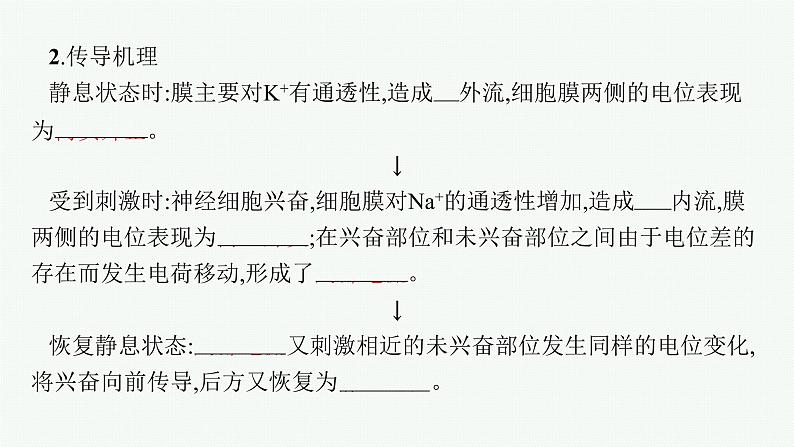 2021-2022学年高中生物新人教版选择性必修1 神经冲动的产生和传导（43张）  课件第7页