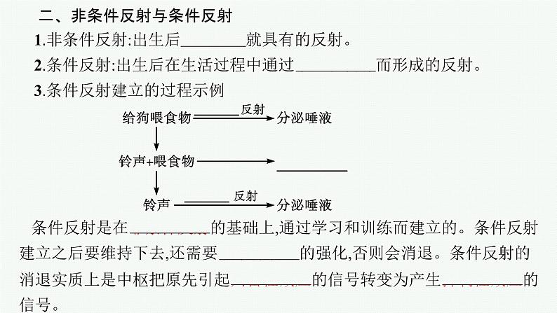 2021-2022学年高中生物新人教版选择性必修1 神经调节的基本方式（36张）  课件第7页