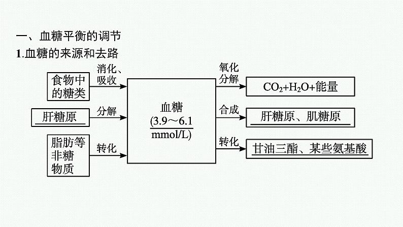 2021-2022学年高中生物新人教版选择性必修1 激素调节的过程 课件（46张）05