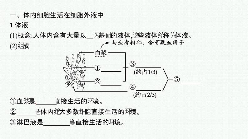 2021-2022学年高中生物新人教版选择性必修1 细胞生活的环境 课件（52张）第5页