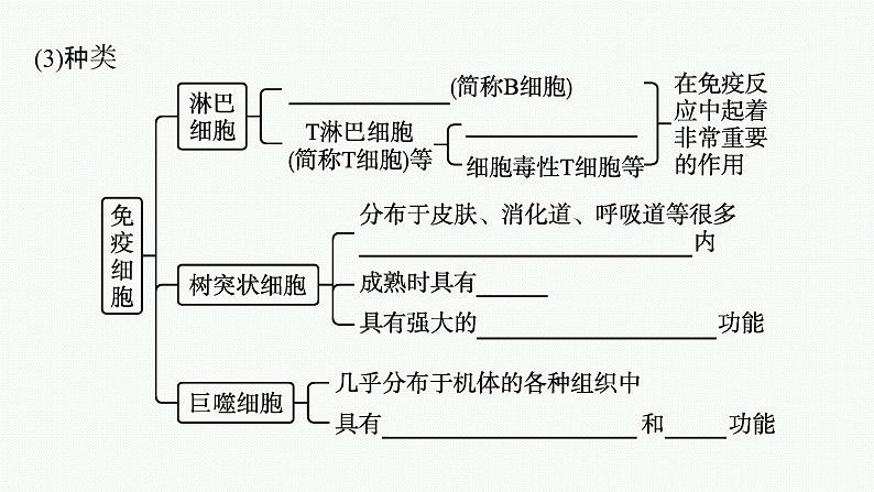 2021-2022学年高中生物新人教版选择性必修1 免疫系统的组成和功能 课件（35张）07