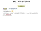 2021-2022学年高中生物新人教版选择性必修1  第5章 第1节　植物生长素 课件（21张）