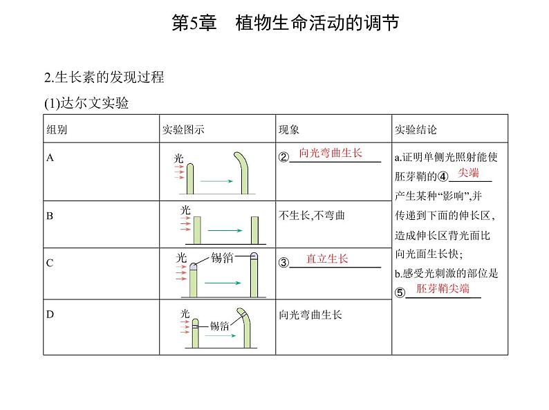 2021-2022学年高中生物新人教版选择性必修1  第5章 第1节　植物生长素 课件（21张）第3页