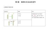 2021-2022学年高中生物新人教版选择性必修1  第5章 第1节　植物生长素 课件（21张）